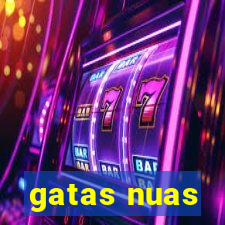 gatas nuas